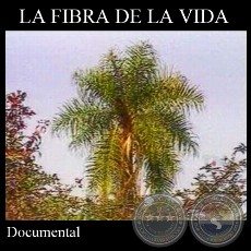 LA FIBRA DE LA VIDA - Documental de JOAQUÍN SMITH